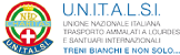 UNITALSI - Unione Nazionale Italiana Trasporto Ammalati a Lourdes e Santuari Internazionali