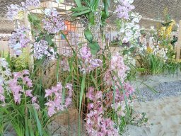Euroflora 2025