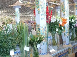 euroflora2025_4